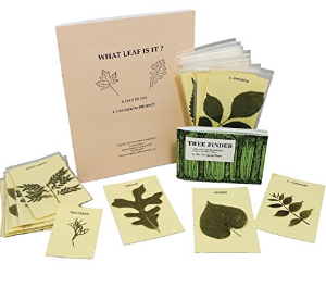 Kit de identificación de hojas "Young Naturalist Leaf Identification Kit"