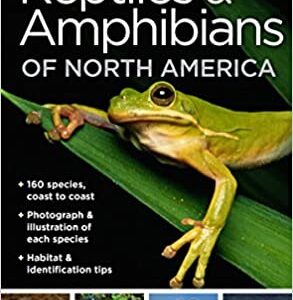 Guía de bolsillo National Geographic Pocket Guide to Reptiles and Amphibians of North America
