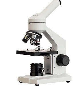 40X-1000X Biological Science Student Compound Microscope
