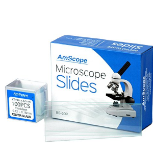 Portaobjetos y cubreobjetos AmScope BS-50P-100S-22 - Platinas de microscopio, de vidrio, de borde en blanco, prelavadas y 100 fundas cuadradas prelavadas