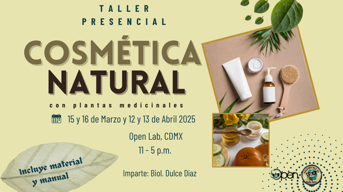 Cosmética natural taller