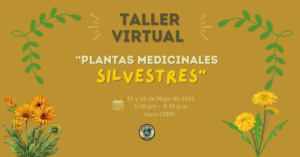 TALLER EN LÍNEA: «Plantas medicinales silvestres»