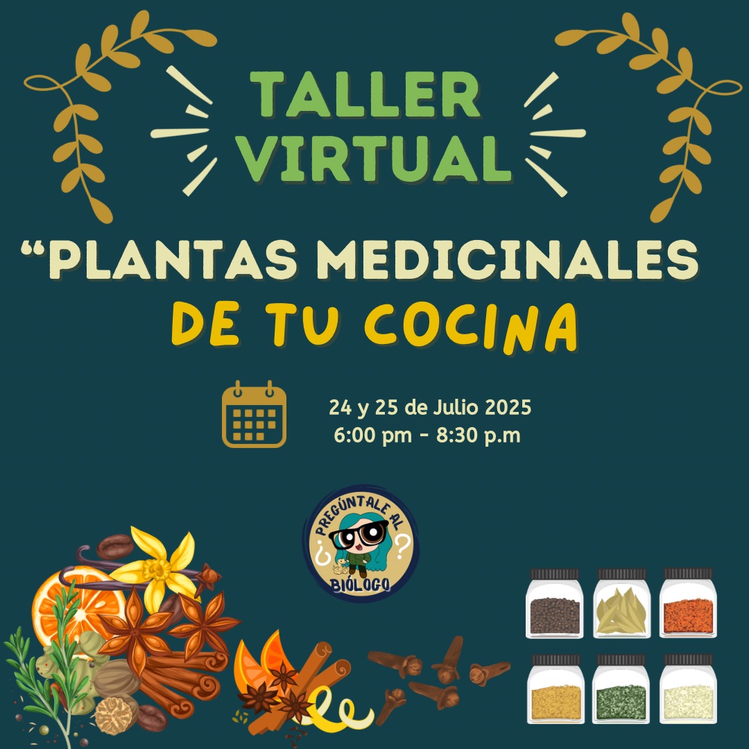 Taller virtual “Plantas medicinales de tu cocina”