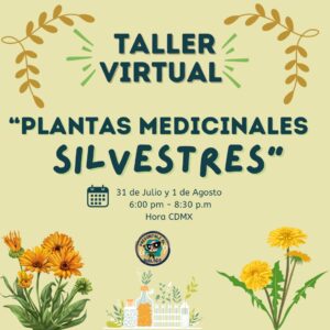 TALLER EN LÍNEA: «Plantas medicinales silvestres»
