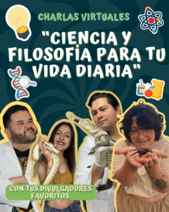 Charlas virtuales – 2025
