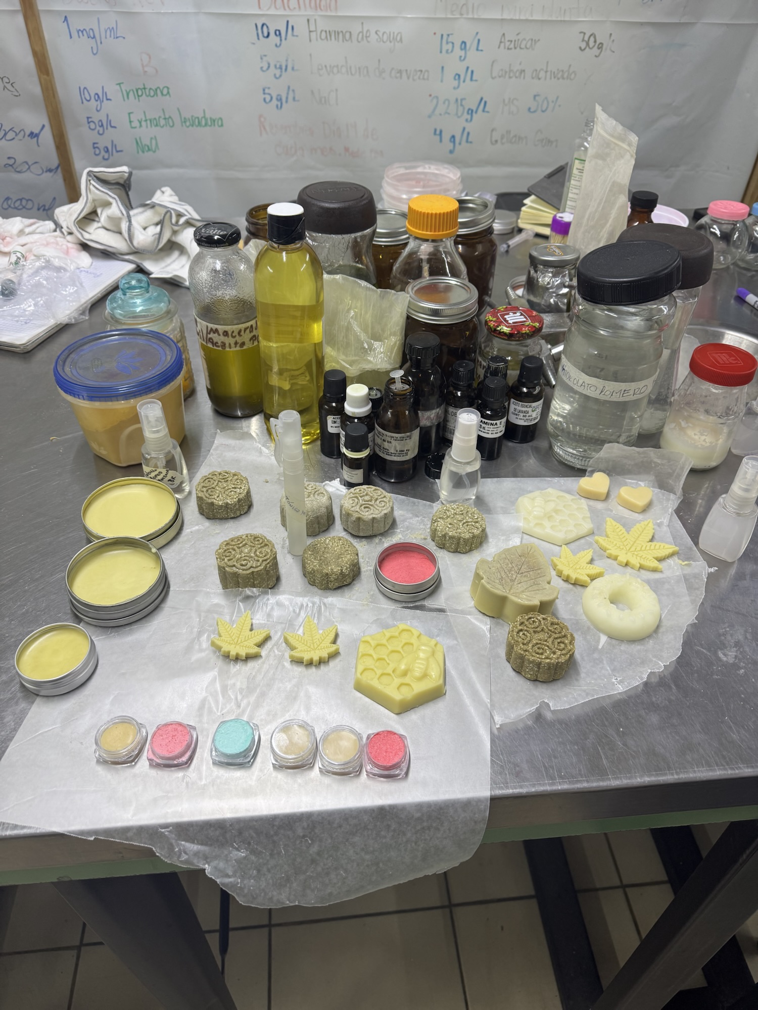 Productos elaborados en el taller “Cosmética natural con plantas medicinales”