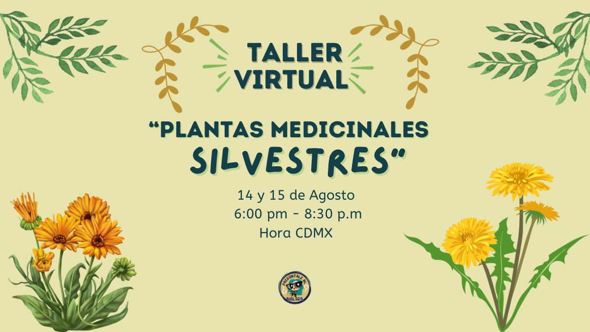 PLANTAS MEDICINALES SILVESTRES