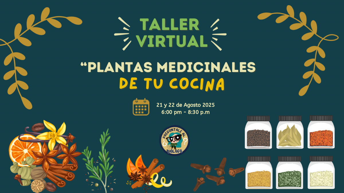 Taller plantas medicinales de tu cocina