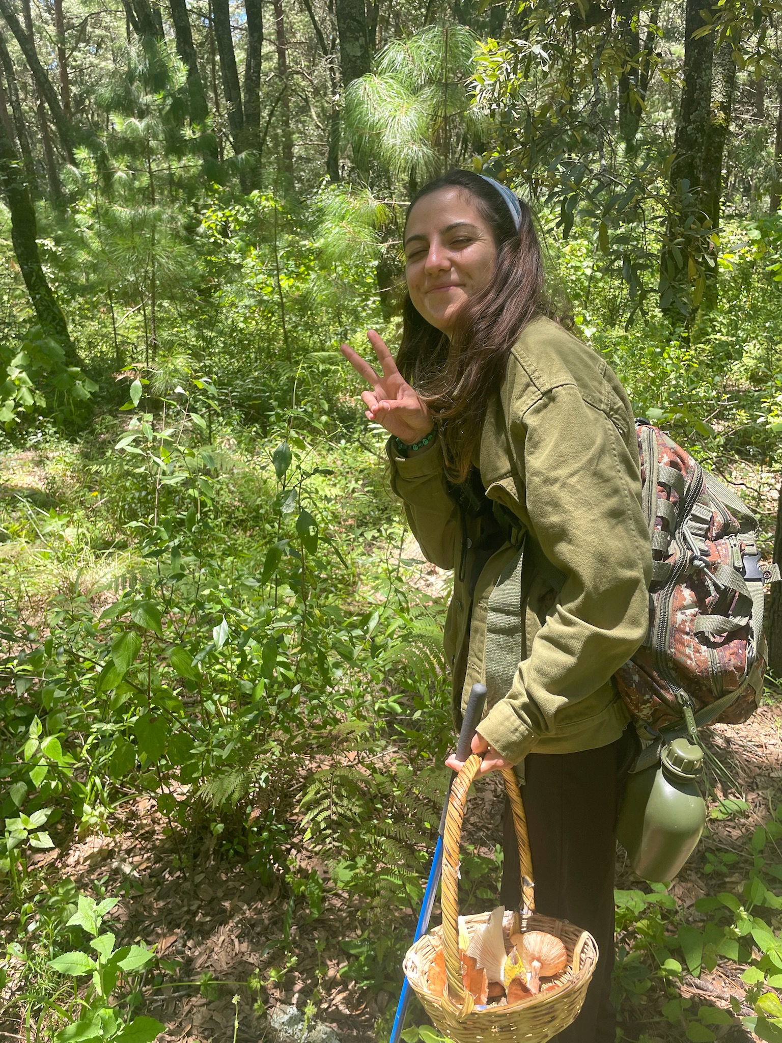 Dul en la colecta de setas 