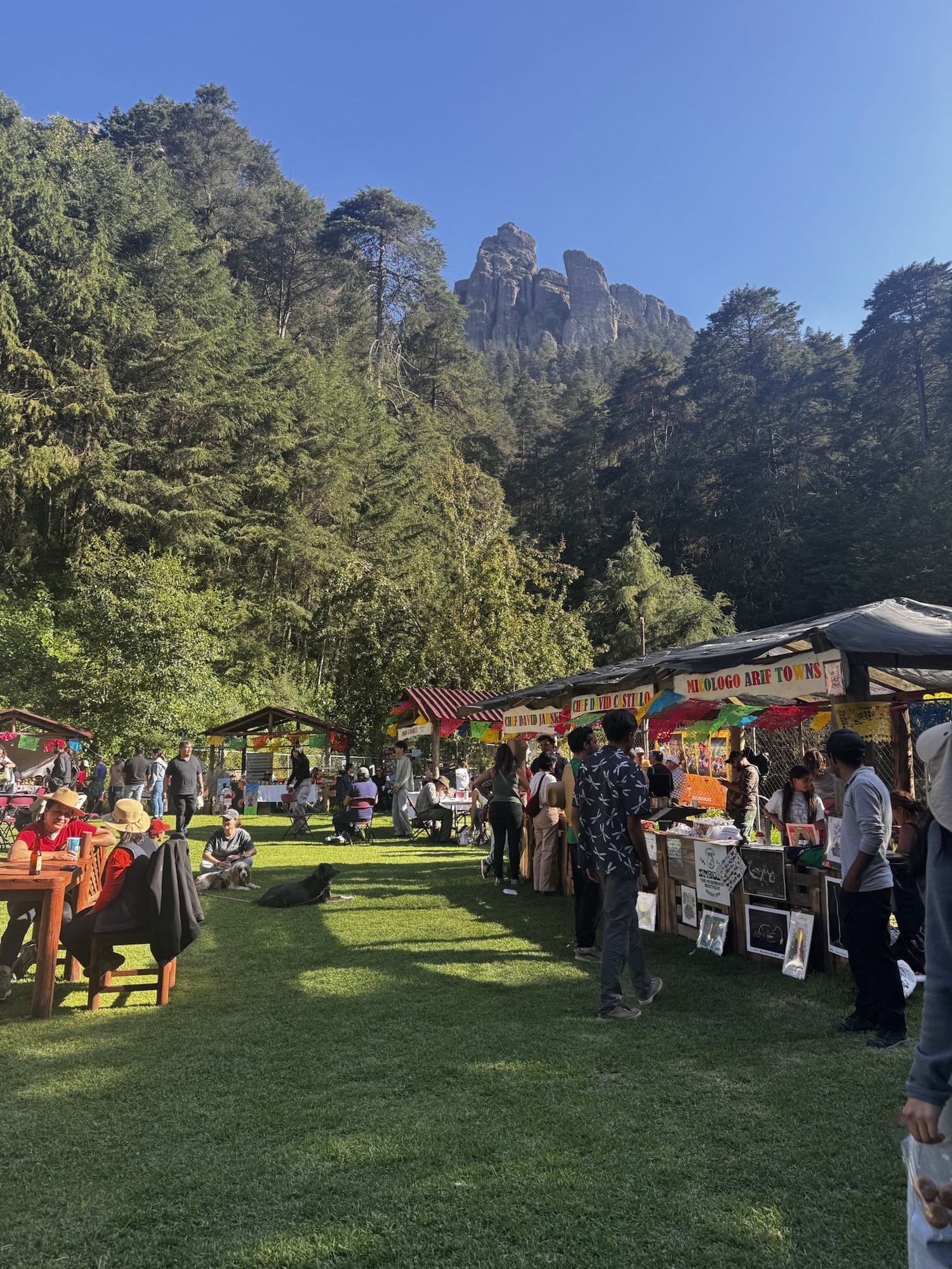 Vista al primer festival internacional del hongo en Mineral del Chico, Hidalgo.