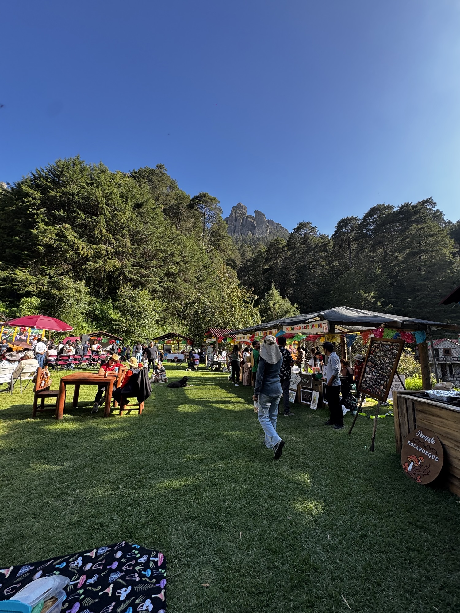 Primer Festival Internacional del Hongo, Mineral del Chico, Hidalgo. 