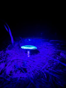 EXPEDICIÓN: MINERAL DEL CHICO & OMITLÁN…