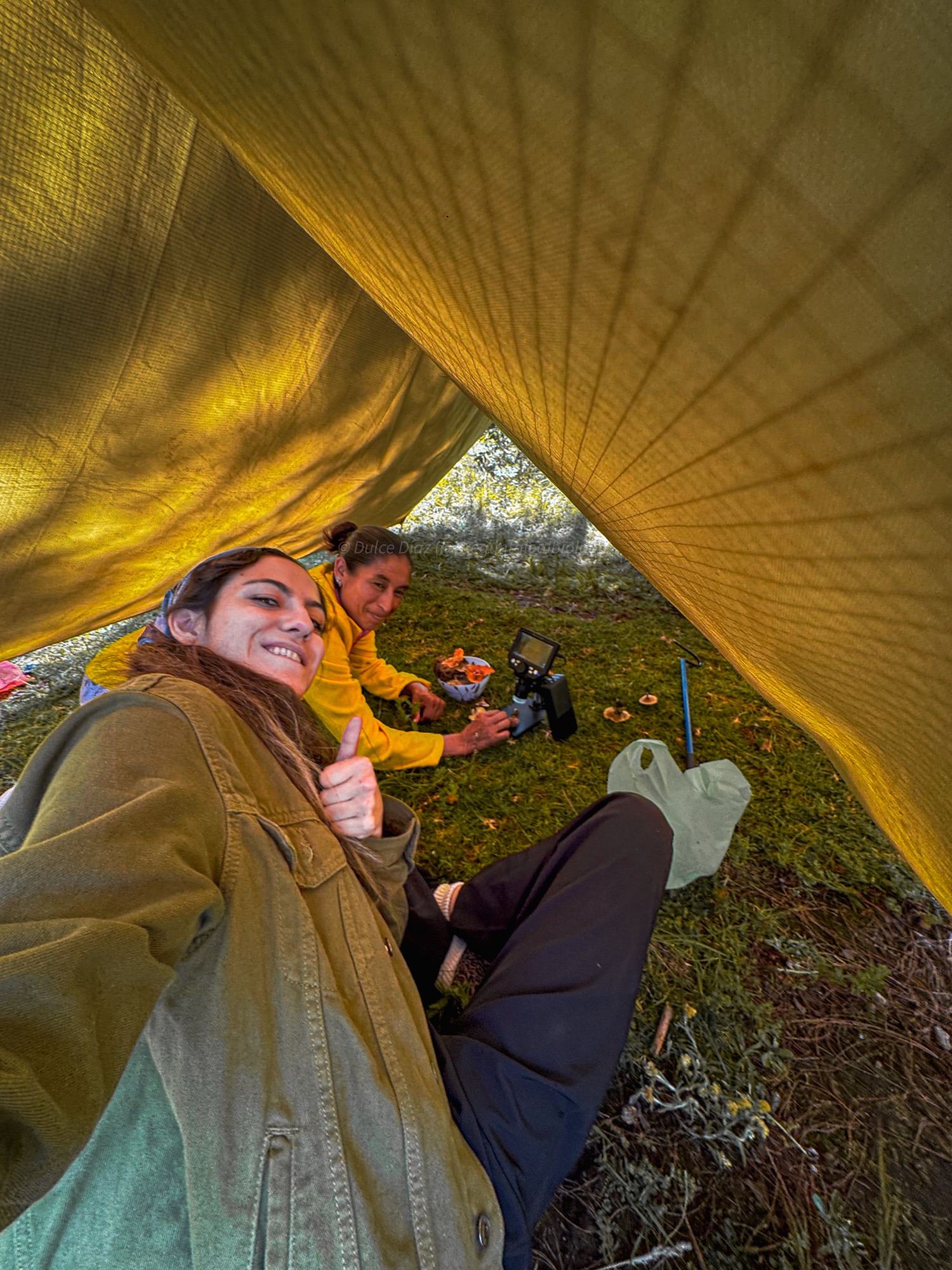 Francis y Dul viendo las setas al microscopio 