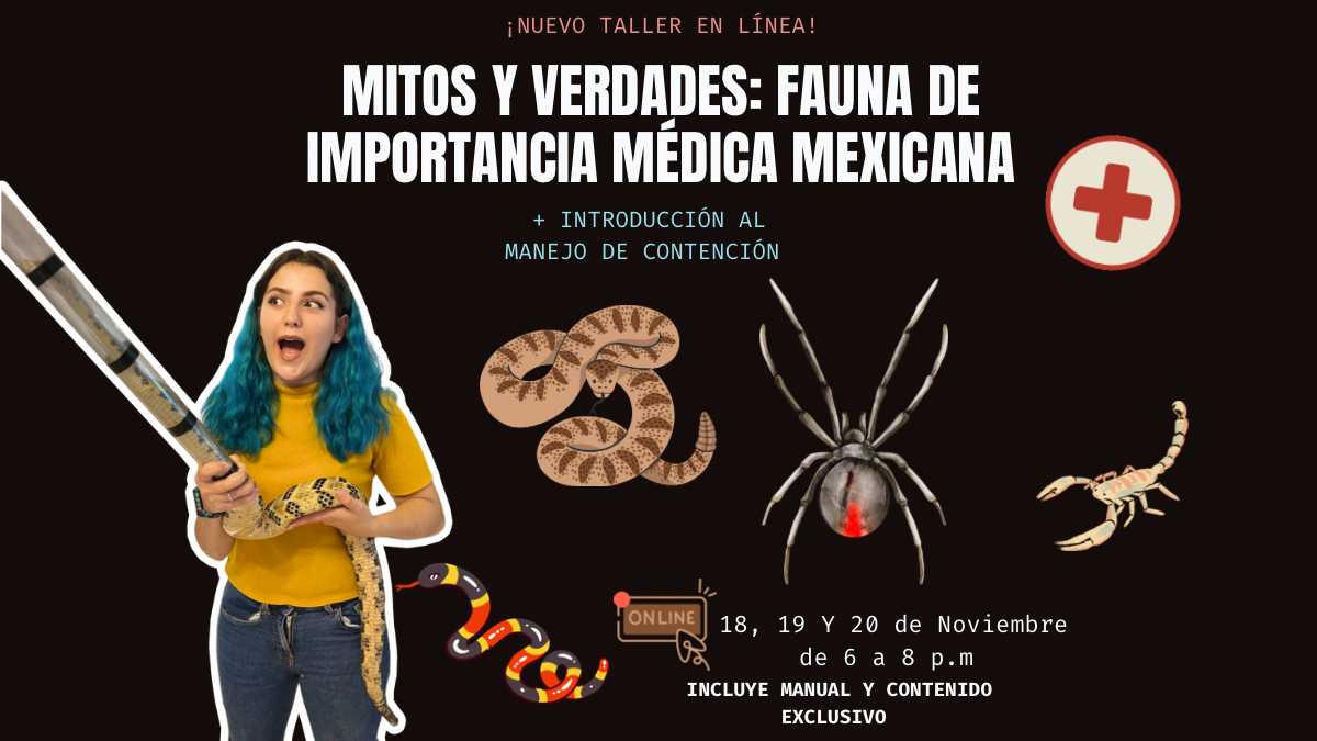 Taller Manejo de serpientes venenosas