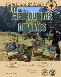 ¡Vamos al bosque! Excursión: Cieneguillas –…