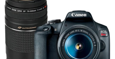 Canon EOS Rebel T7 18–55mm III — Cámara DSLR versátil para iniciarse en fotografía de naturaleza