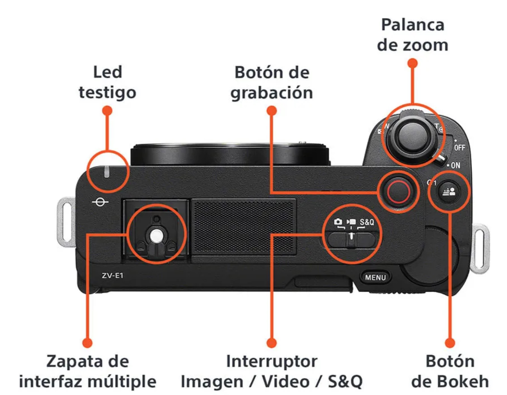 Sony Alpha ZV-E1 — Cámara mirrorless full frame para divulgación científica y video en naturaleza
