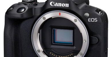 Canon EOS R50 — Cámara mirrorless ligera para fotografía de naturaleza y divulgación