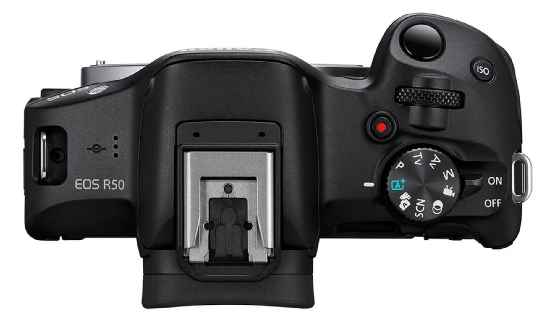 Canon EOS R50 — Cámara mirrorless ligera para fotografía de naturaleza y divulgación