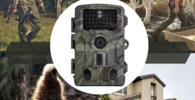 Cámara trampa 4K 36 MP IP65 | Monitoreo de fauna y campo