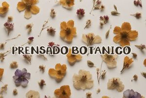 Taller online: “Prensado botánico y reconstrucción…